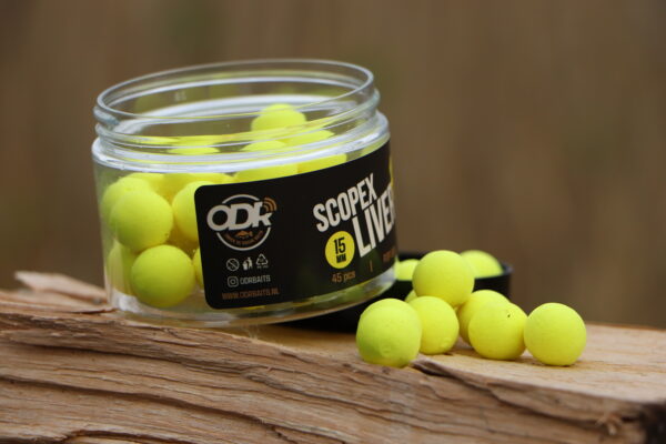 ODR Baits potje scopex liver pop-ups 15 mm