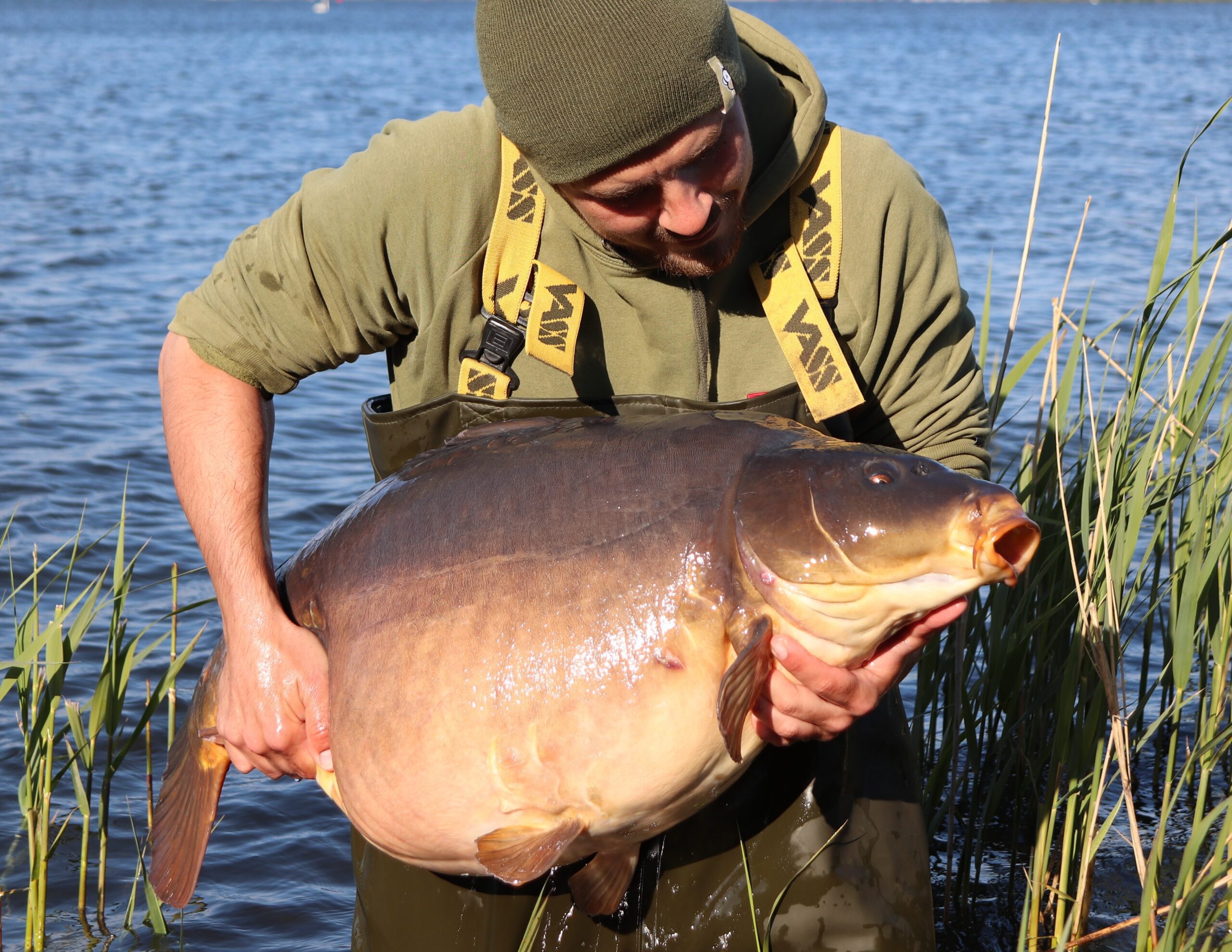 visser met grote spiegelkarper
